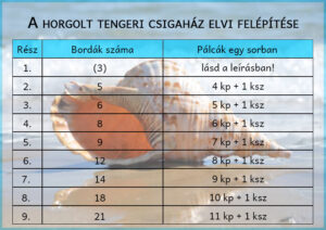 A horgolt tengeri csigaház logikája - táblázat